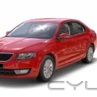 Entreprises 2 image AUTO NATIE dans Antwerp VAN