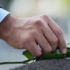 Entreprises 1 image BEGRAFENISSEN MAES-BECK & CO uitvaartverzorging dans Turnhout VAN