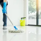Entreprises 1 image CITY ELM COMPANY andere reinigingsactiviteiten dans Sint-Niklaas VOV