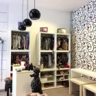 Entreprises 1 image DE BOEBOES detailhandel in huisdieren, voedsel voor huisdieren en benodigdheden daarvoor in gespecialiseerde winkels dans Gent VOV