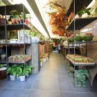 Entreprises 1 image DE VIER SEIZOENEN detailhandel in bloemen, planten, zaden en kunstmeststoffen in gespecialiseerde winkels dans Assebroek VWV