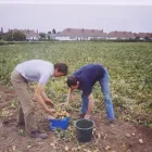 Entreprises 3 image FERME CARETTE detailhandel in niet-gespecialiseerde winkels waarbij voedings- en genotmiddelen overheersen (verkoopsoppervlakte dans Kain WHT