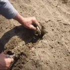 Entreprises 1 image FERME CARETTE detailhandel in niet-gespecialiseerde winkels waarbij voedings- en genotmiddelen overheersen (verkoopsoppervlakte dans Kain WHT