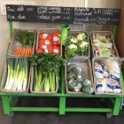 Entreprises 3 image GROENTEN & FRUIT RUDI DE WILDE detailhandel in niet-gespecialiseerde winkels waarbij voedings- en genotmiddelen overheersen (verkoopsoppervlakte dans Eksaarde VOV