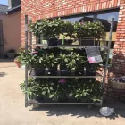 Entreprises 2 image GROENTEN & FRUIT RUDI DE WILDE detailhandel in niet-gespecialiseerde winkels waarbij voedings- en genotmiddelen overheersen (verkoopsoppervlakte dans Eksaarde VOV
