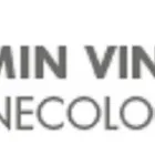 Entreprises 1 image JACMIN VINCENT - GYNÉCOLOGUE huisartspraktijken dans Lodelinsart WHT