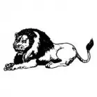 Entreprises 1 image LE LION DROGUERIE detailhandel in andere artikelen in gespecialiseerde winkels dans Bruxelles BBR