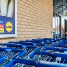 Entreprises 10 image LIDL detailhandel in niet-gespecialiseerde winkels waarbij voedings- en genotmiddelen overheersen (verkoopsoppervlakte tussen 400 m² en minder dan 2500 m²) dans Hasselt VLI