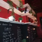 Entreprises 1 image MYSTÈRE BAR cafés en bars dans Charleroi WHT