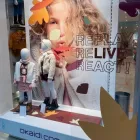 Entreprises 1 image OKAIDI MAASMECHELEN detailhandel in kleding in gespecialiseerde winkels dans Maasmechelen VLI