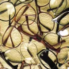 Entreprises 6 image OPTIEK CERULIS detailhandel in fotografische en optische artikelen en in precisieinstrumenten in gespecialiseerde winkels dans Stevoort VLI