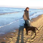 Entreprises 1 image PATTYN DAISY - DIERENARTS veterinaire diensten dans Zelzate VOV