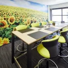 Entreprises 3 image PEDAGOGISCH ADVIESBUREAU DE ZONNEBLOEM activiteiten op het vlak van geestelijke gezondheidszorg, m.u.v. psychiatrische ziekenhuizen en verzorgingstehuizen dans Erembodegem VOV