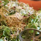 Entreprises 1 image VIS TA MINE restaurants en mobiele eetgelegenheden dans Rixensart WBR