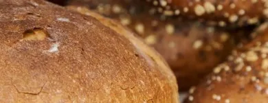 Entreprises 1 image BROOD & BANKET NORA ambachtelijke vervaardiging van brood en van vers banketbakkerswerk dans Deurne VAN