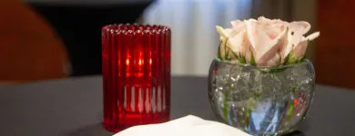 Entreprises 6 image CROWNE PLAZA BRUGGE hotels en dergelijke accommodatie dans Brugge VWV