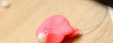 Entreprises 29 image VALIER SPRL overige adviesbureaus op het gebied van bedrijfsbeheer; adviesbureaus op het gebied van bedrijfsvoering dans Etterbeek BBR