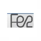FE2